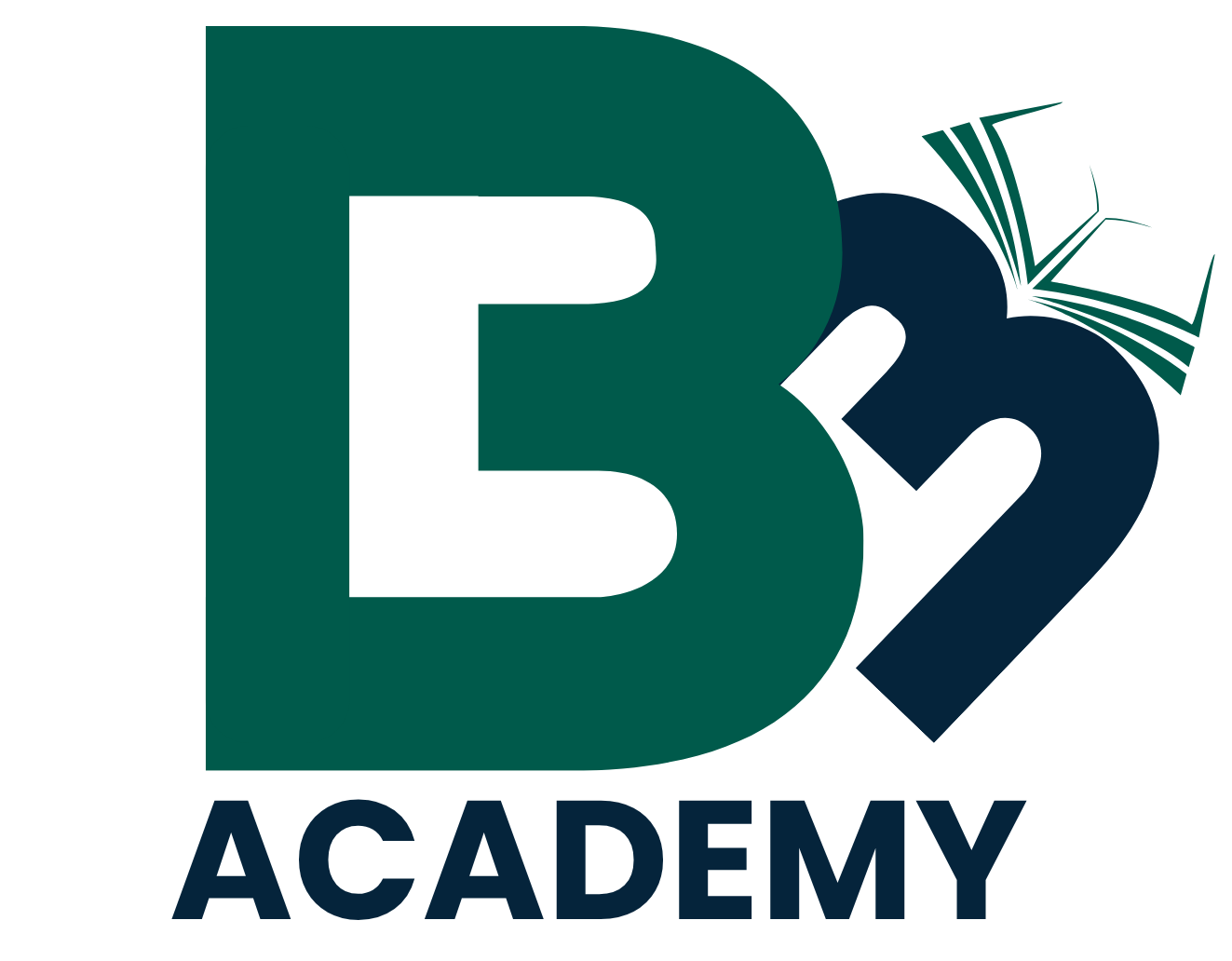 BM Academy logo